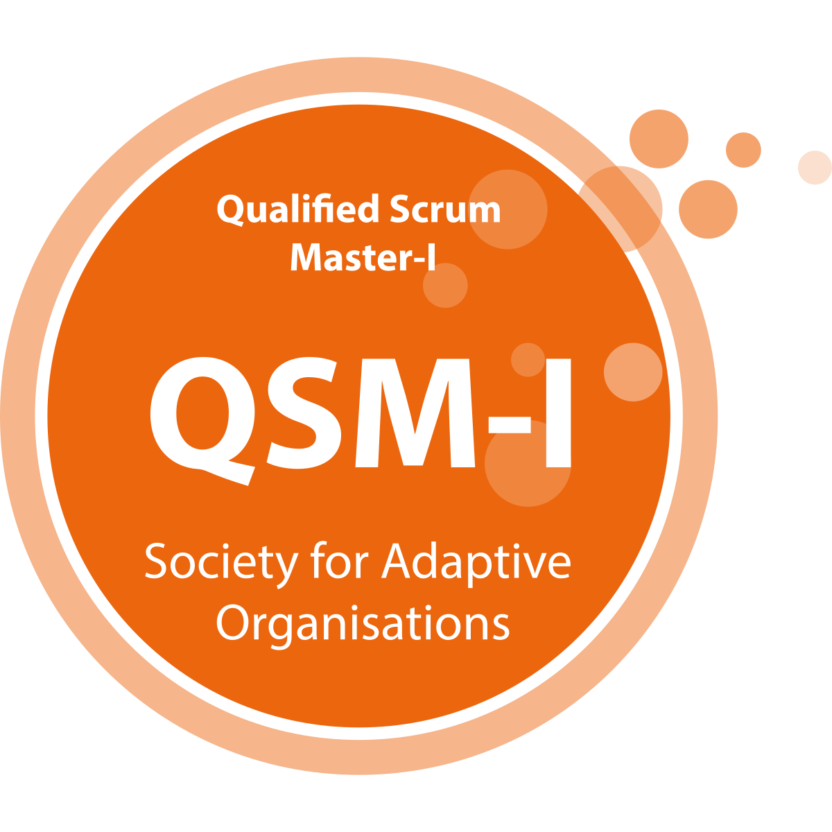 Qualified Scrum Master - 1