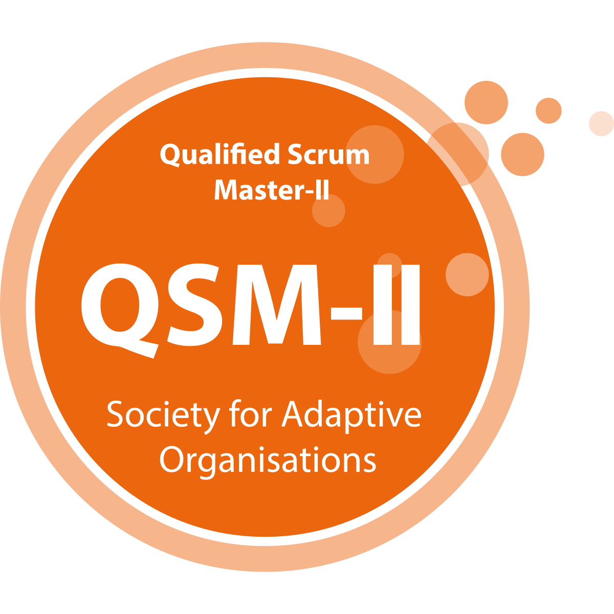 Qualified Scrum Master - 2