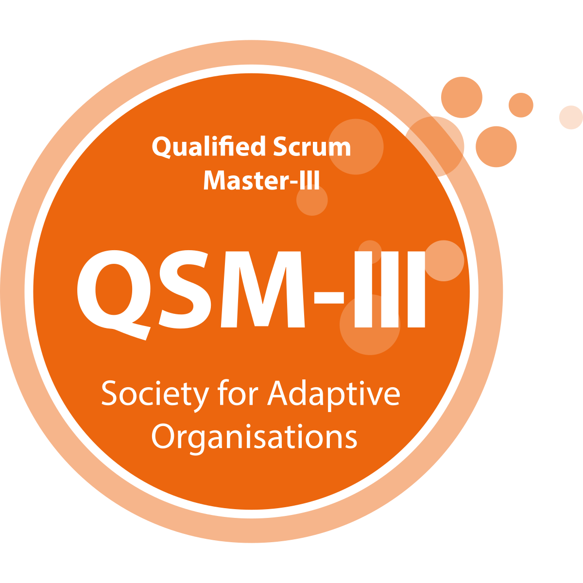 Qualified Scrum Master - 3