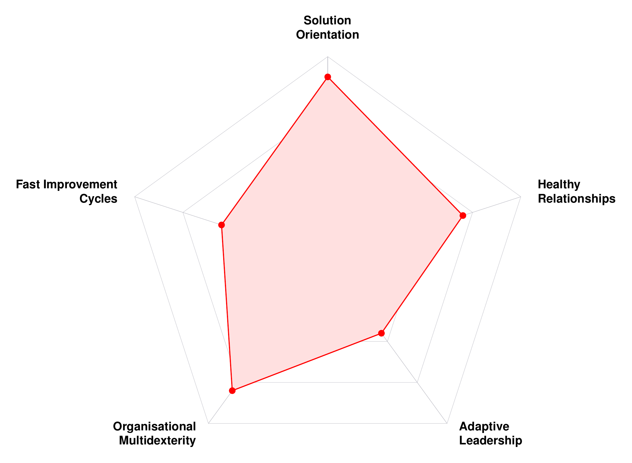 A radar chart with five axes — Solution Orientation, Healthy Relationships, Adaptive Leadership, Organisational Multidexterity, and Fast Improvement Cycles — with a shaded profile connecting a value on each axis